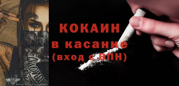 стаф Алзамай