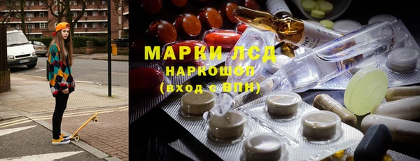 стаф Алзамай