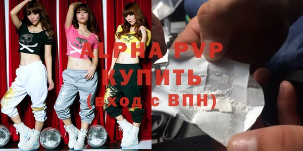 стаф Алзамай