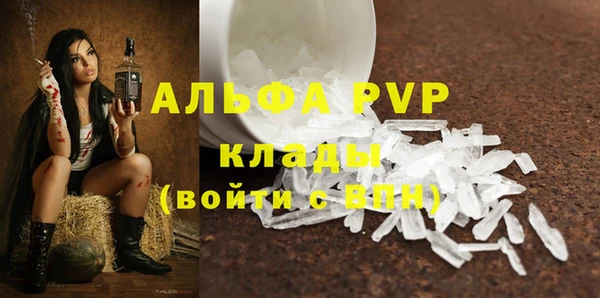 стаф Алзамай